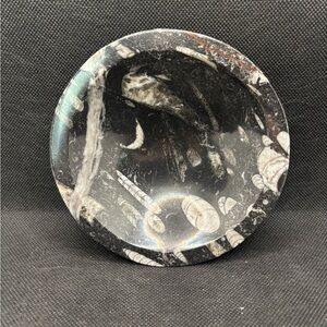 Othoceras fossil bowl 
Fossil Stone Bowl